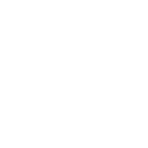 Inspection & Documentation Review Process